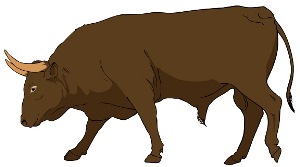 Bull-clipart