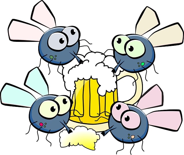 Flies Beer