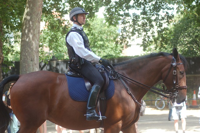 Horseback Police Officer